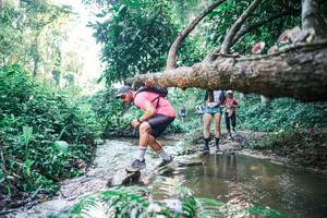 BIB: 
                            <button type="button" onclick="openModal(25433615)" class="btn btn-primary btn-sm float-right btn-popup" data-toggle="modal" data-target=".modal-high-quality">
                        <i class="fas fa-shopping-cart"></i> Add to Cart
                    </button>
                                            <button type="button" onclick="isThisMe(25433615, true)" class="btn btn-success btn-sm float-right btn-popup btn-isme hidden" data-toggle="tooltip" data-placement="bottom" title="นี่คือรูปของคุณใช่ไหม คลิกที่นี่เพื่อเอาเข้าอัลบั้ม">
                        <i class="fas fa-plus"></i> Add to album
                    </button>
                    <button type="button" onclick="isThisMe(25433615, false)" class="btn btn-warning btn-sm float-right btn-popup btn-isnotme hidden">
                        <i class="fas fa-ban"></i> Remove from album
                    </button>